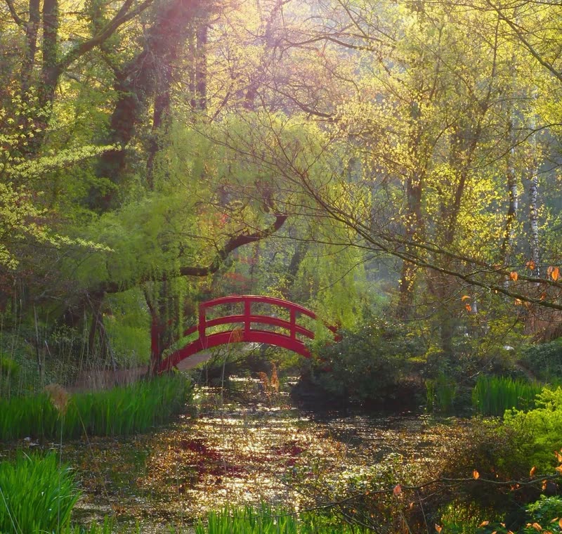 Rote Brücke über einen Bachlauf im Schlosspark Dennenlohe