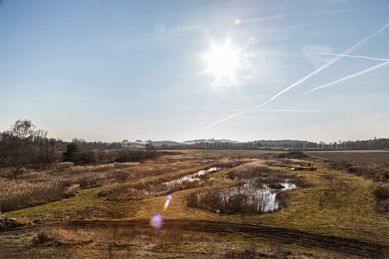 Moorlandschaft im Landschaftspark Dennenlohe